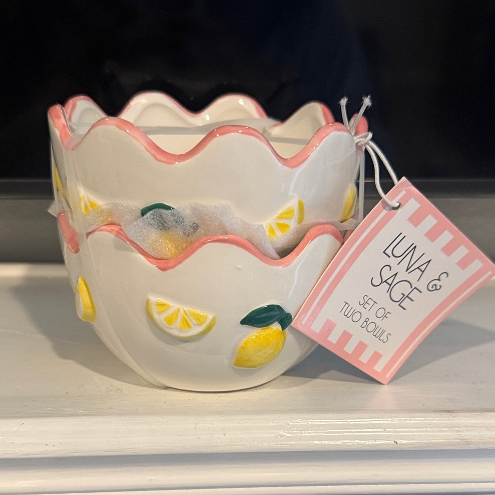 Luna & Sage Pink and White Scalloped Dinnerware Set